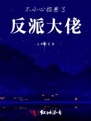 不小心招惹了反派大佬