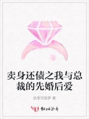 卖身还债之我与总裁的先婚后爱