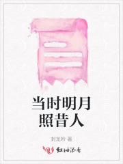 当时明月照昔人