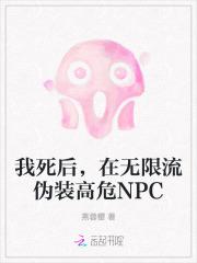 我死后，在无限流伪装高危NPC