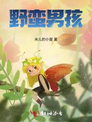 野蛮男孩