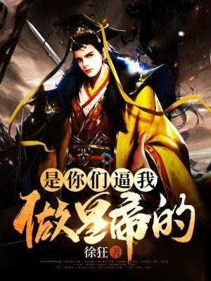 是你们逼我做皇帝的