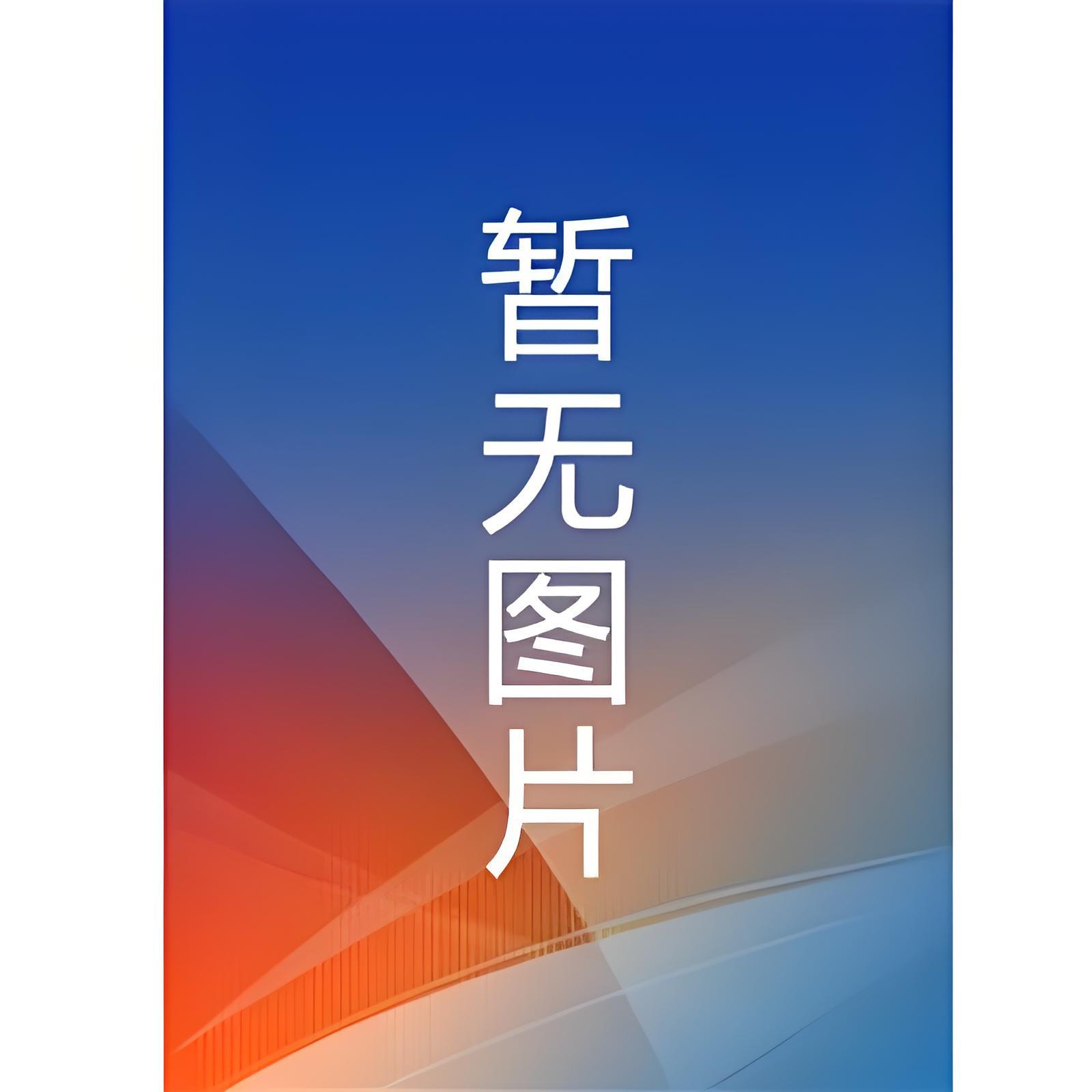 西柏林的陌生人安德烈斯塔西