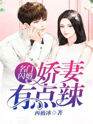 名门闪婚：娇妻有点辣