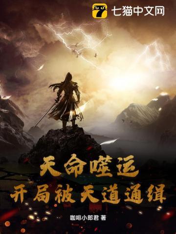 天命噬运：开局被天道通缉