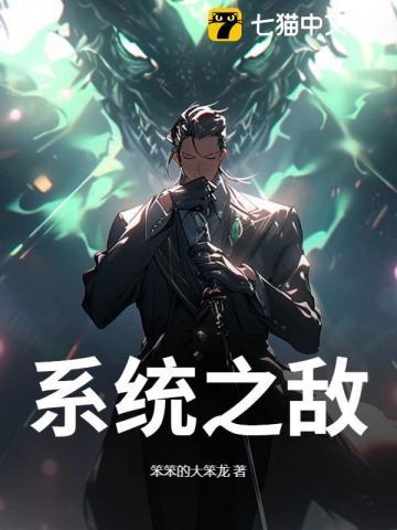 系统之敌