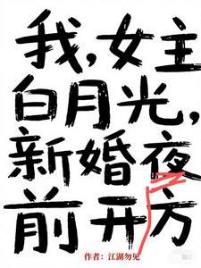 我，女主白月光，新婚夜前开房