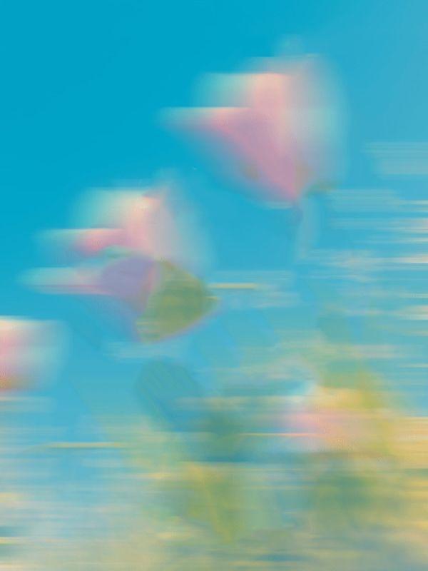 重生八零，只认前妻的首长老公我不要了