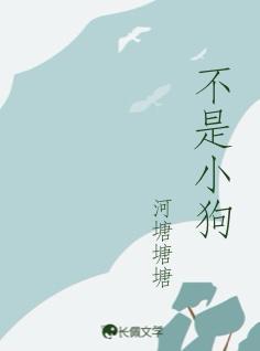 不是小狗