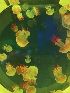 青春期乌龙事件